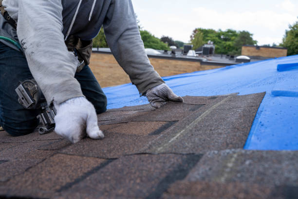 Best Flat Roof Repair Services  in St Joseph, IL