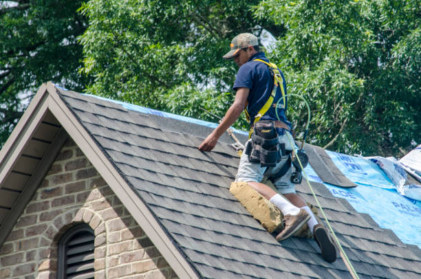 Best Flat Roof Repair Services  in St Joseph, IL